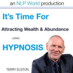 Bertrand.pt - It'S Time For Attracting Wealth & Abundance With Terry Elston