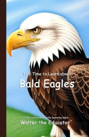 It'S Time To Learn About Bald Eagles