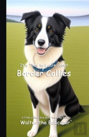 It'S Time To Learn About Border Collies
