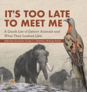 It'S Too Late To Meet Me