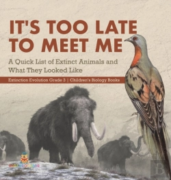 Bertrand.pt - It'S Too Late To Meet Me