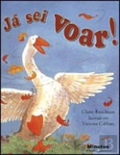 Já Sei Voar!
