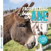 J'Accueillerais Bien Un Âne ! Le Choisir Et En Prendre Soin