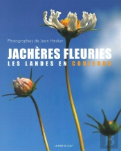 Jachères Fleuries ; Les Landes En Couleur