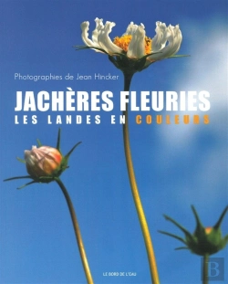 Bertrand.pt - Jachères Fleuries ; Les Landes En Couleur