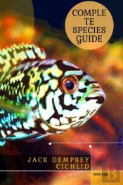 Jack Dempsey Cichlid
