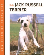 Jack Russel Terrier