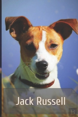 Bertrand.pt - Jack Russell