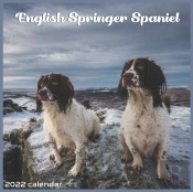 Jack Russell Terrier 2022 Calendar
