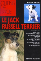 Jack Russell Terrier