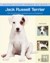 Jack Russell Terrier