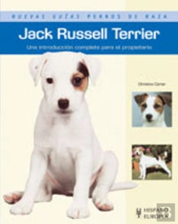 Bertrand.pt - Jack Russell Terrier