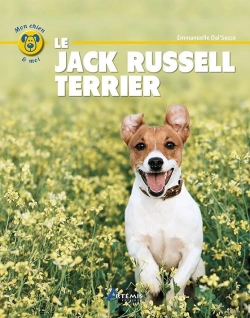 Bertrand.pt - Jack Russell Terrier