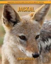Jackal