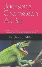 Jackson'S Chameleon As Pet