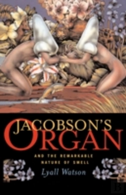 Bertrand.pt - Jacobson'S Organ