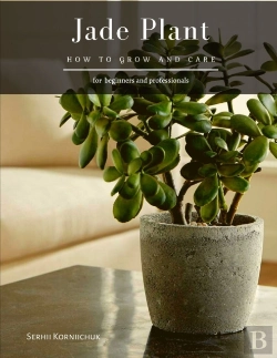 Bertrand.pt - Jade Plant