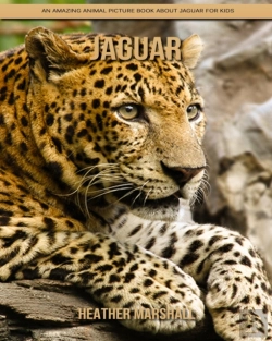 Bertrand.pt - Jaguar