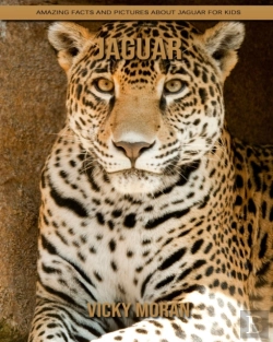 Bertrand.pt - Jaguar