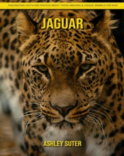 Bertrand.pt - Jaguar