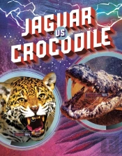 Jaguar Vs Crocodile