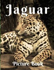 Jaguars Picture Book