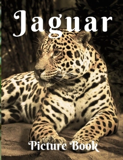 Bertrand.pt - Jaguars Picture Book