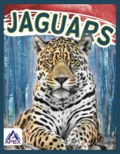 Jaguars