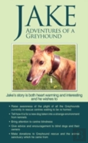 Jake Adventures Of A Greyhound