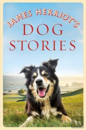 James Herriot'S Dog Stories
