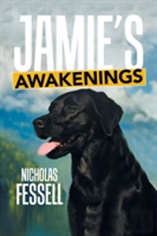 Jamie'S Awakenings