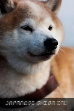Bertrand.pt - Japanese Shiba Inu