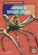 Japanese Spider Crabs