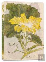 Japanese Squash Blossom Lined Paperback Journal