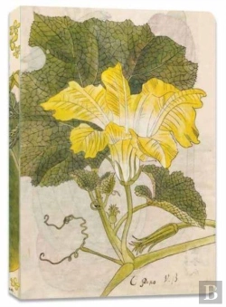 Bertrand.pt - Japanese Squash Blossom Lined Paperback Journal