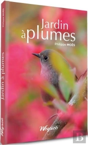 Jardin A Plumes - Amenagements Pour Accueillir Les Oiseaux