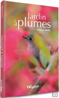 Bertrand.pt - Jardin A Plumes - Amenagements Pour Accueillir Les Oiseaux