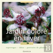 Jardin Coloré En Hiver