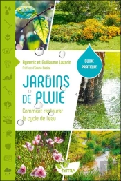 Jardins De Pluie : Comment Restaurer Le Cycle De L'Eau