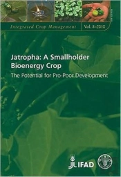 Jatropha