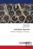 Jatropha Species
