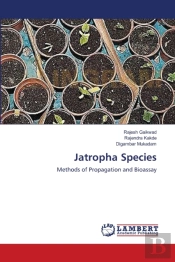 Jatropha Species