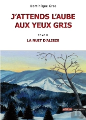 J'Attends L'Aube Aux Yeux Gris Tome 2 ; La Nuit D'Alieze