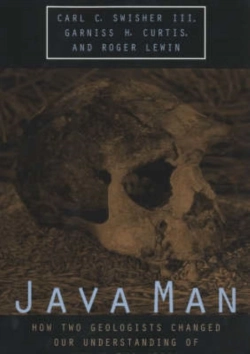 Bertrand.pt - Java Man