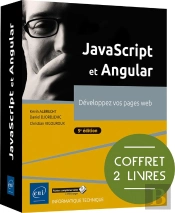 Javascript Et Angular : Développez Vos Pages Web (5e Édition)