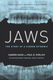 Jaws