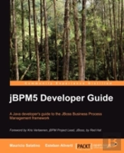Jbpm 5 Developer Guide
