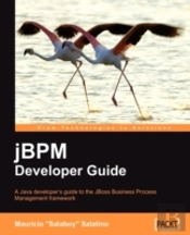 Jbpm Developer Guide