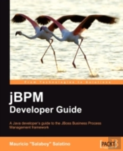 Bertrand.pt - Jbpm Developer Guide
