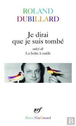 Bertrand.pt - Je Dirai Que Je Suis Tombé ; La Boîte À Outils